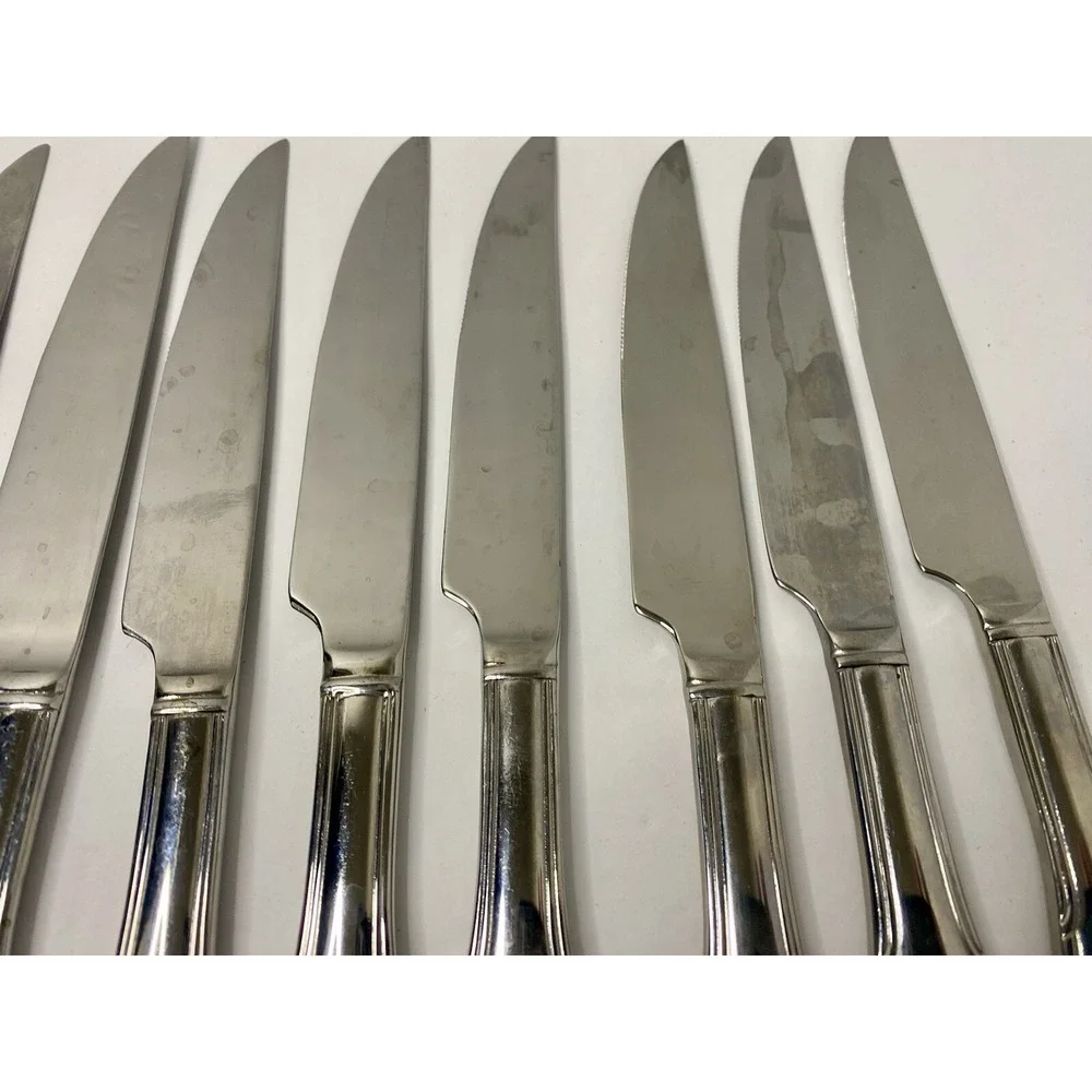 Reed & Barton Manor Park Stainless Steak Knives Lot Of 12 Replacements